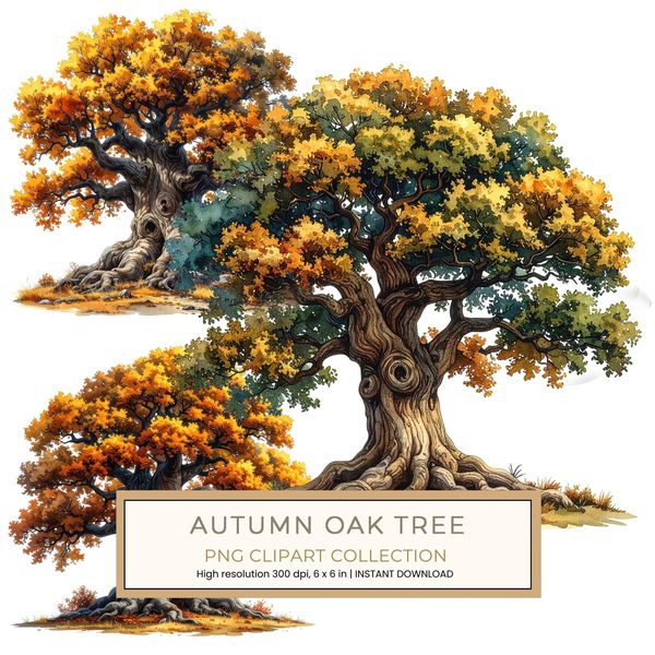 12 Autumn Oak Tree of Life Clipart PNG - Watercolor Style (Digital Download - Commercial Use)