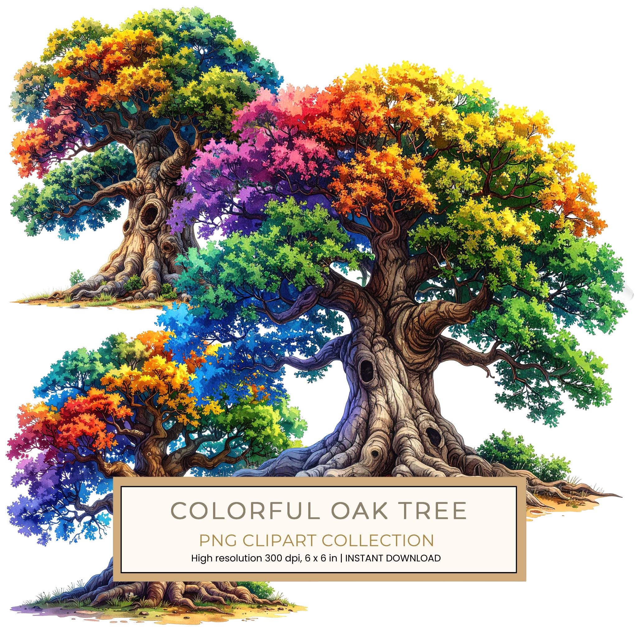 12 Colorful Oak Tree of Life Clipart PNG - Watercolor Style (Digital Download - Commercial Use)
