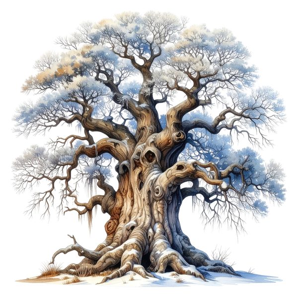 12 Winter Oak Tree of Life Clipart PNG - Watercolor Style (Digital Download - Commercial Use) — image 1