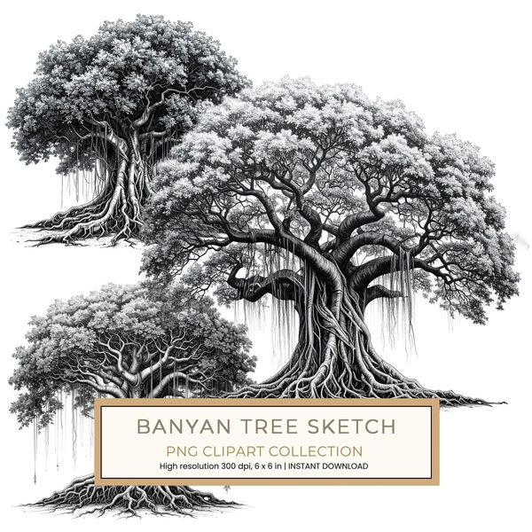 12 Banyan Tree of Life Clipart PNG - Sketch Style (Digital Download - Commercial Use)