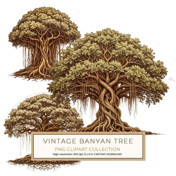 12 Banyan Tree of Life Clipart PNG - Vintage Sketch Style (Digital Download - Commercial Use)