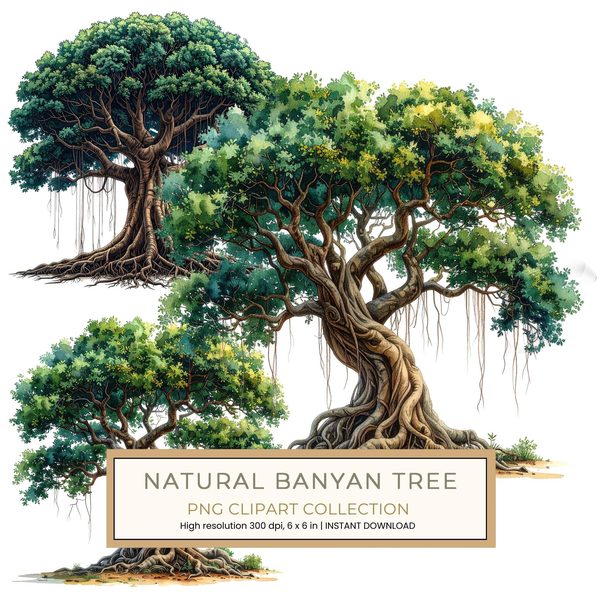 12 Banyan Tree of Life Clipart PNG - Watercolor Style (Digital Download - Commercial Use)