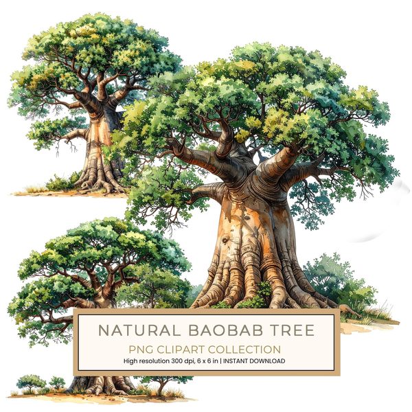 12 Baobab Tree of Life Clipart PNG - Watercolor Style (Digital Download - Commercial Use)
