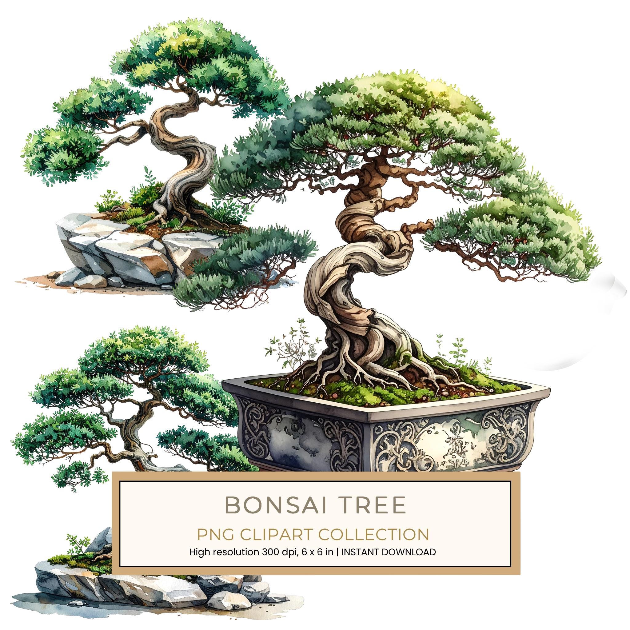 12 Bonsai Tree of Life Clipart PNG - Watercolor Style (Digital Download - Commercial Use)