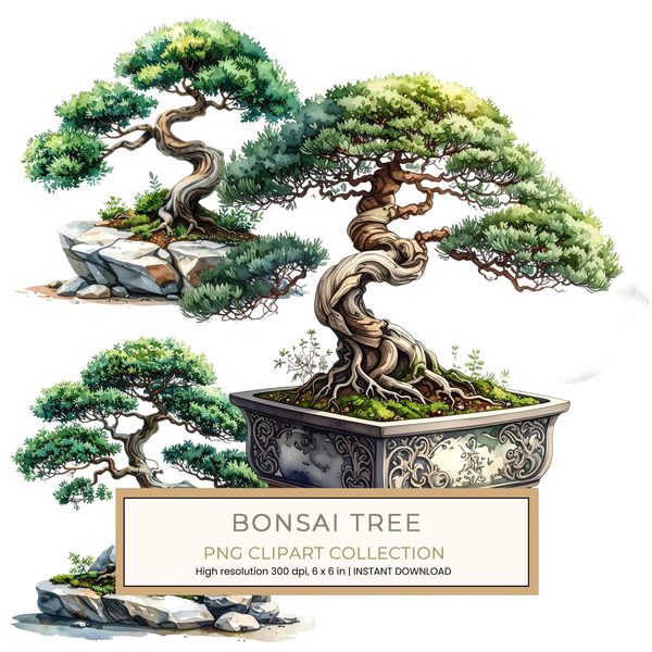 12 Bonsai Tree of Life Clipart PNG - Watercolor Style (Digital Download - Commercial Use)