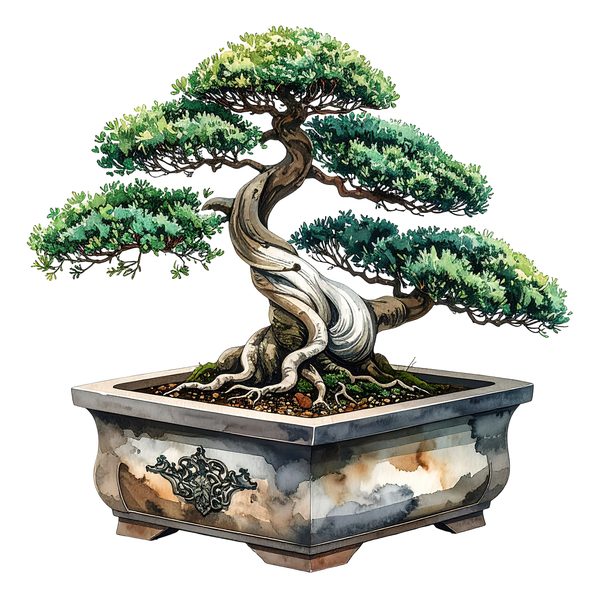 12 Bonsai Tree of Life Clipart PNG - Watercolor Style (Digital Download - Commercial Use) — image 7