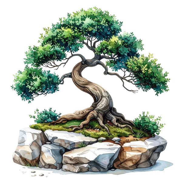 12 Bonsai Tree of Life Clipart PNG - Watercolor Style (Digital Download - Commercial Use) — image 10