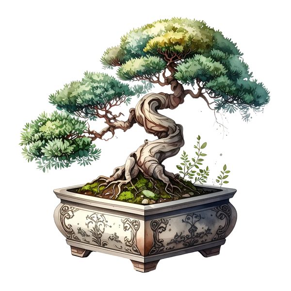 12 Bonsai Tree of Life Clipart PNG - Watercolor Style (Digital Download - Commercial Use) — image 11