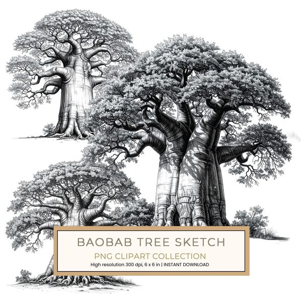 16 Baobab Tree of Life Clipart PNG - Sketch Style (Digital Download - Commercial Use)