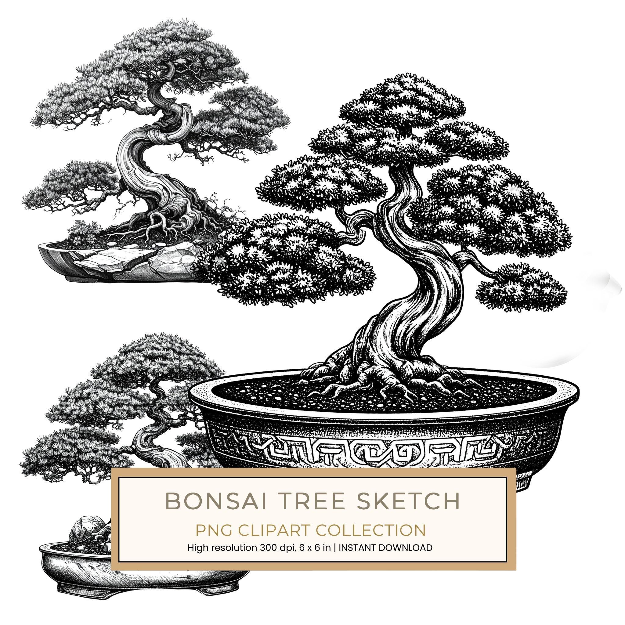 11 Bonsai Tree of Life Clipart PNG - Sketch Style (Digital Download - Commercial Use)
