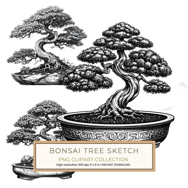 11 Bonsai Tree of Life Clipart PNG - Sketch Style (Digital Download - Commercial Use)