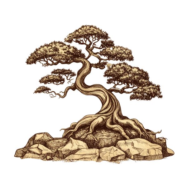 12 Bonsai Tree of Life Clipart PNG - Vintage Sketch Style (Digital Download - Commercial Use) — image 9