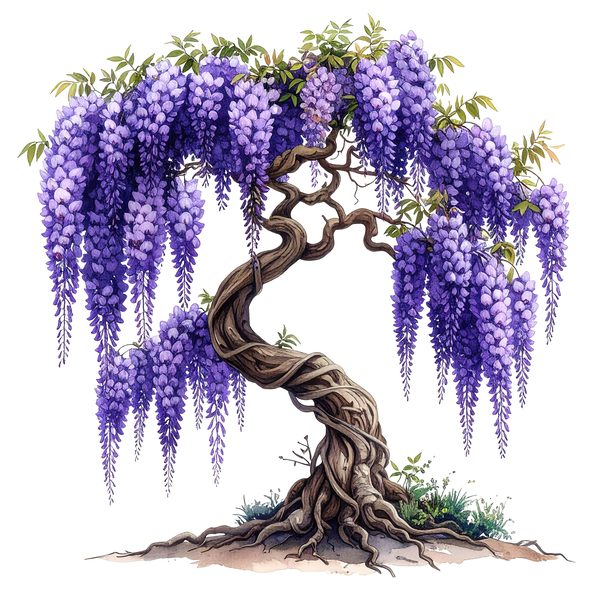 12 Wisteria Tree of Life Clipart PNG - Watercolor Style (Digital Download, Commercial Use) — image 2