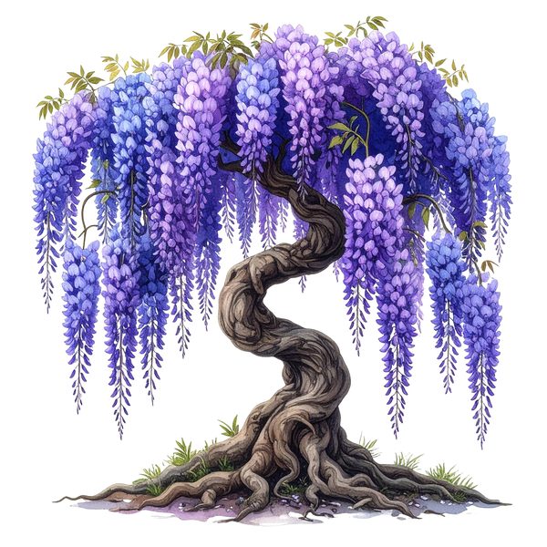 12 Wisteria Tree of Life Clipart PNG - Watercolor Style (Digital Download, Commercial Use) — image 8