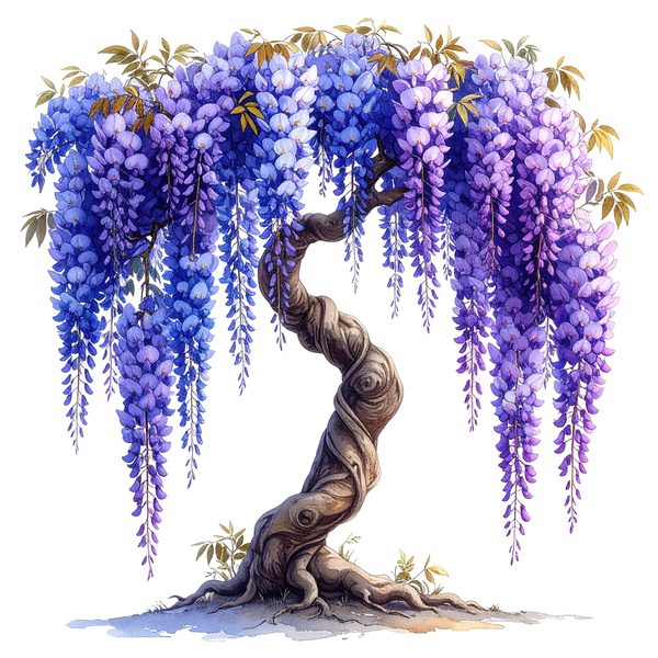 12 Wisteria Tree of Life Clipart PNG - Watercolor Style (Digital Download, Commercial Use) — image 9