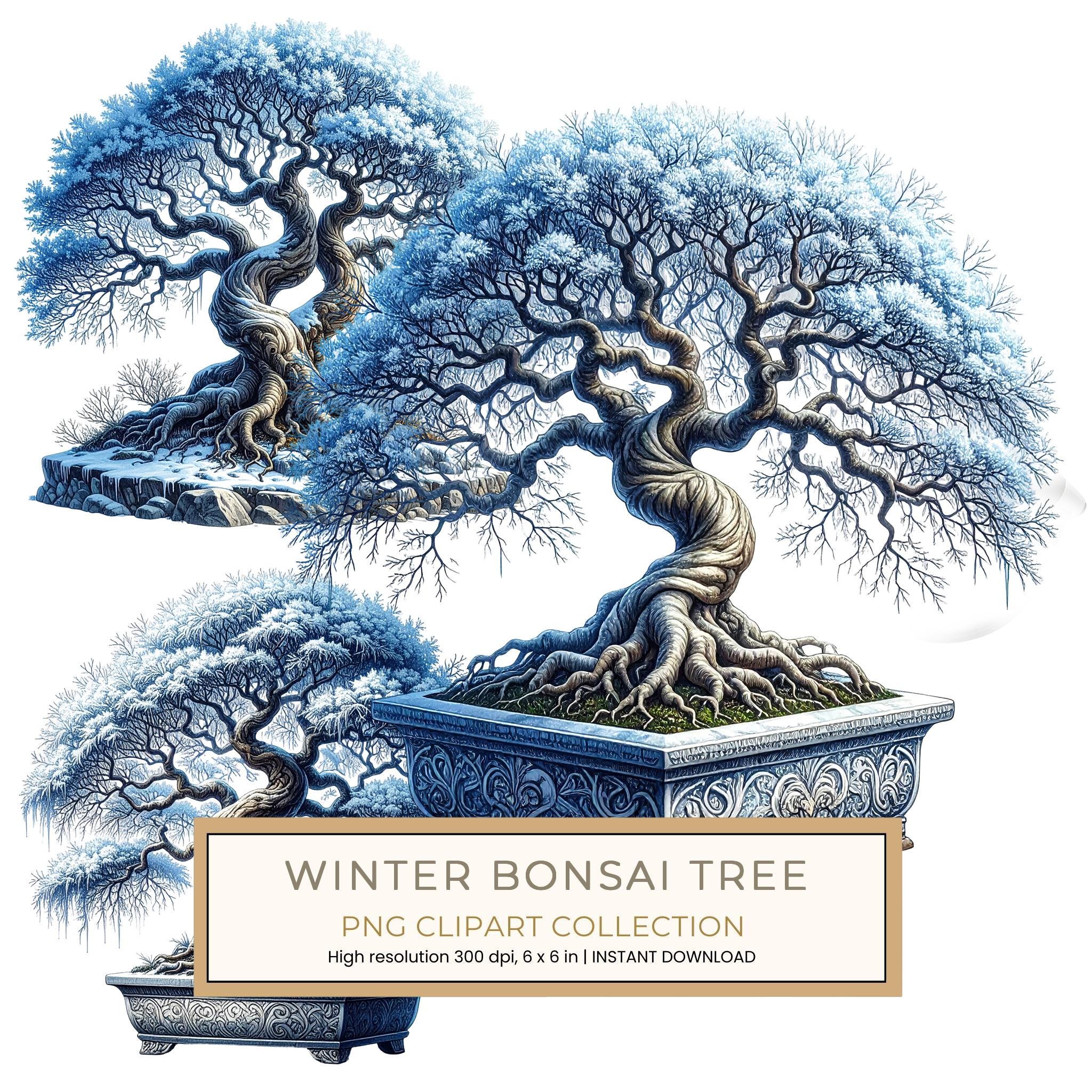 12 Winter Bonsai Tree of Life Clipart PNG - Watercolor Style (Digital Download - Commercial Use)