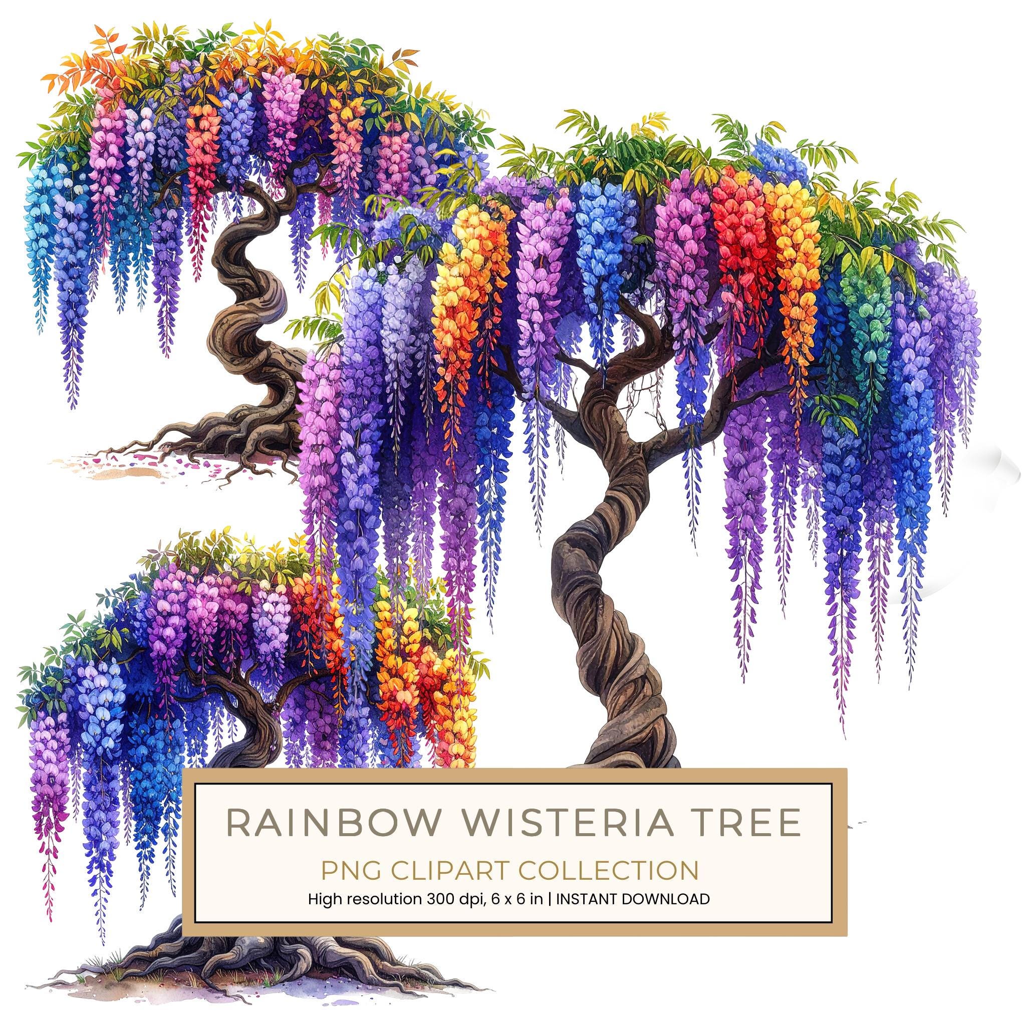 12 Rainbow Wisteria Tree of Life Clipart PNG - Watercolor Style (Digital Download, Commercial Use)