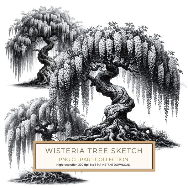 12 Blooming Wisteria Tree of Life Clipart PNG - Sketch Style (Digital Download - Commercial Use)