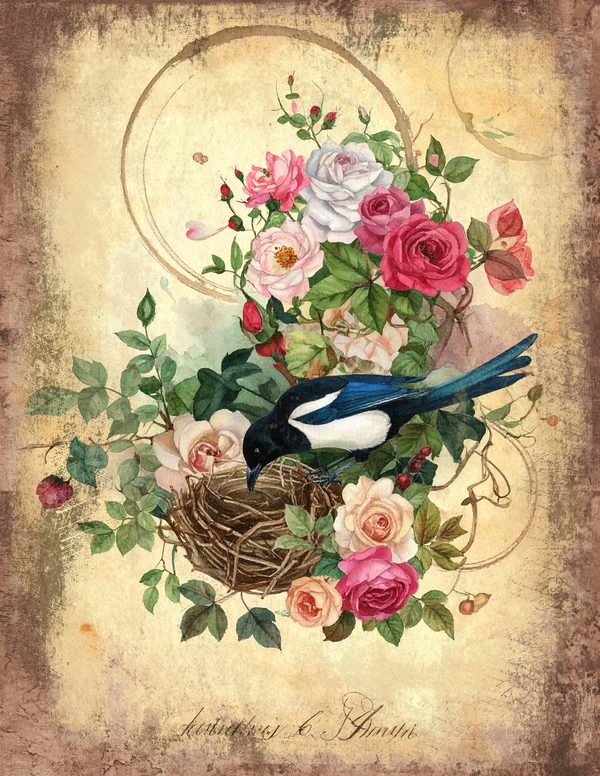 Magpie Bird Collection Junk Journal Pages: 60 Watercolor Digital Paper - Scrapbook Printables — image 21
