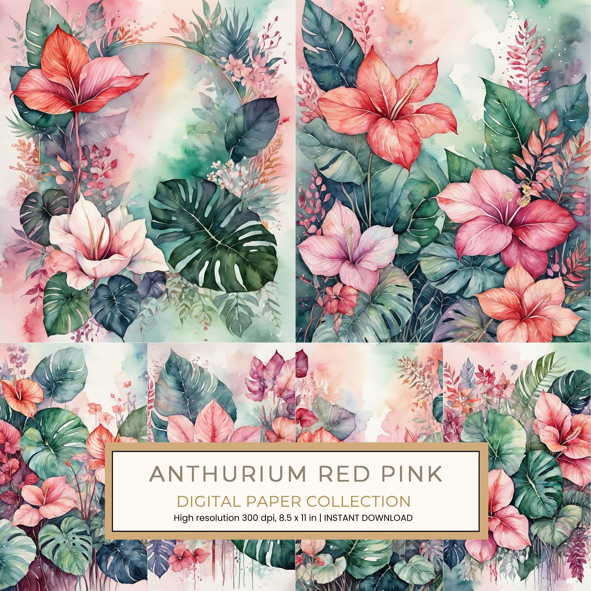 Anthurium Red Pink Digital Paper: 14 Printable Pages - Watercolor Scrapbook Paper - Commercial Use