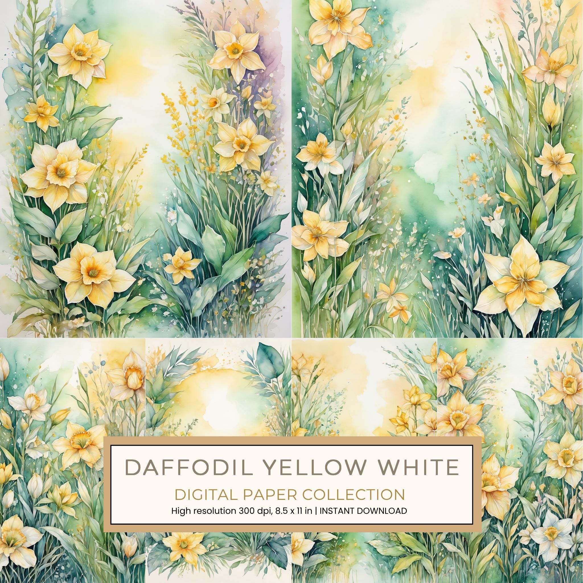 Daffodil Yellow White Digital Paper: 14 Printable Pages - Watercolor Scrapbook Paper - Commercial Use