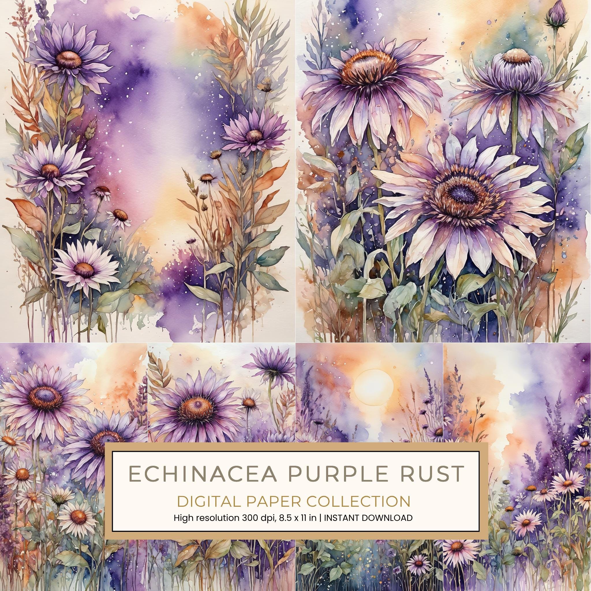 Echinacea Purple Rust Digital Paper: 10 Printable Pages - Watercolor Scrapbook Paper - Commercial Use