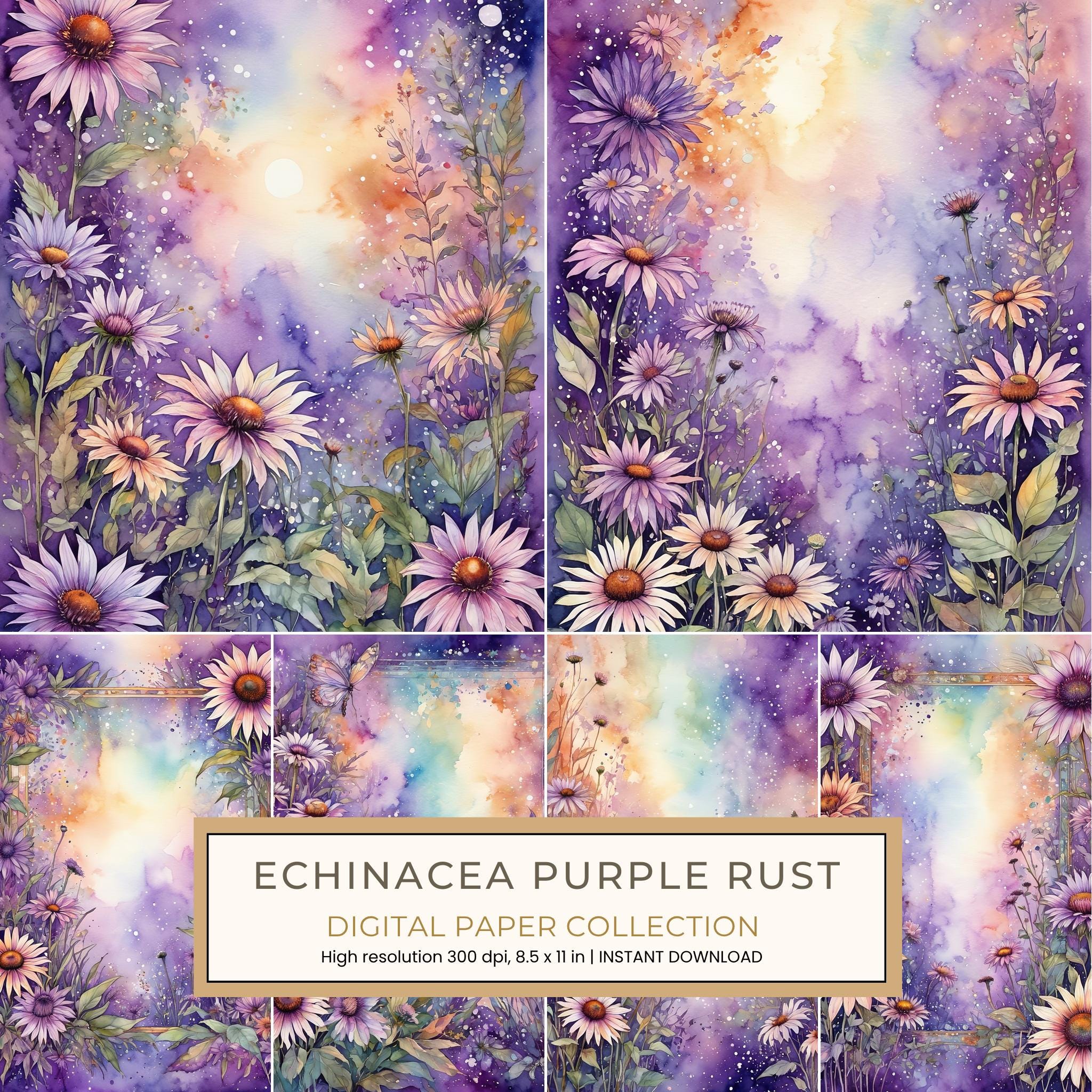Echinacea Purple Rust Digital Paper: 14 Printable Pages - Watercolor Scrapbook Paper - Commercial Use