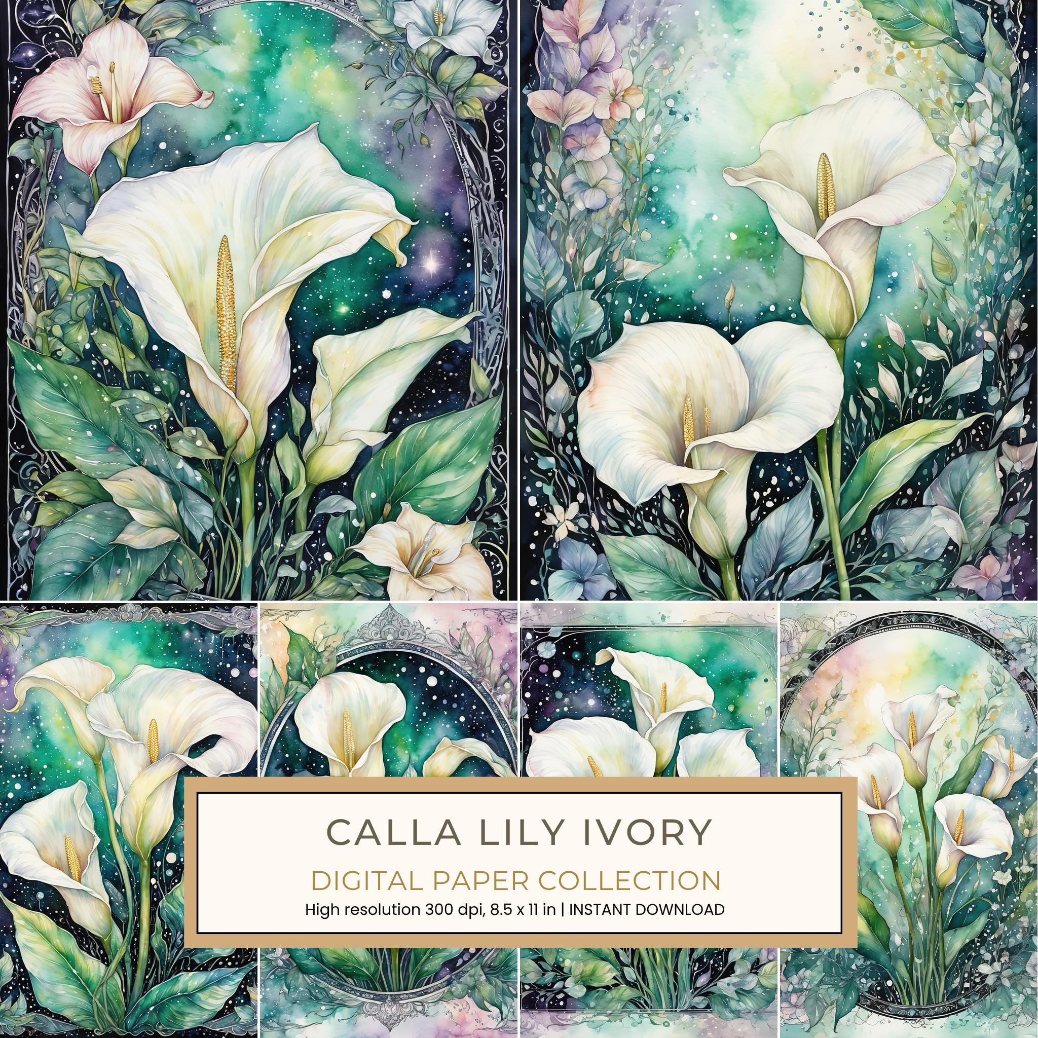 Calla Lily Ivory Digital Paper: 14 Printable Pages - Watercolor Scrapbook Paper - Commercial Use