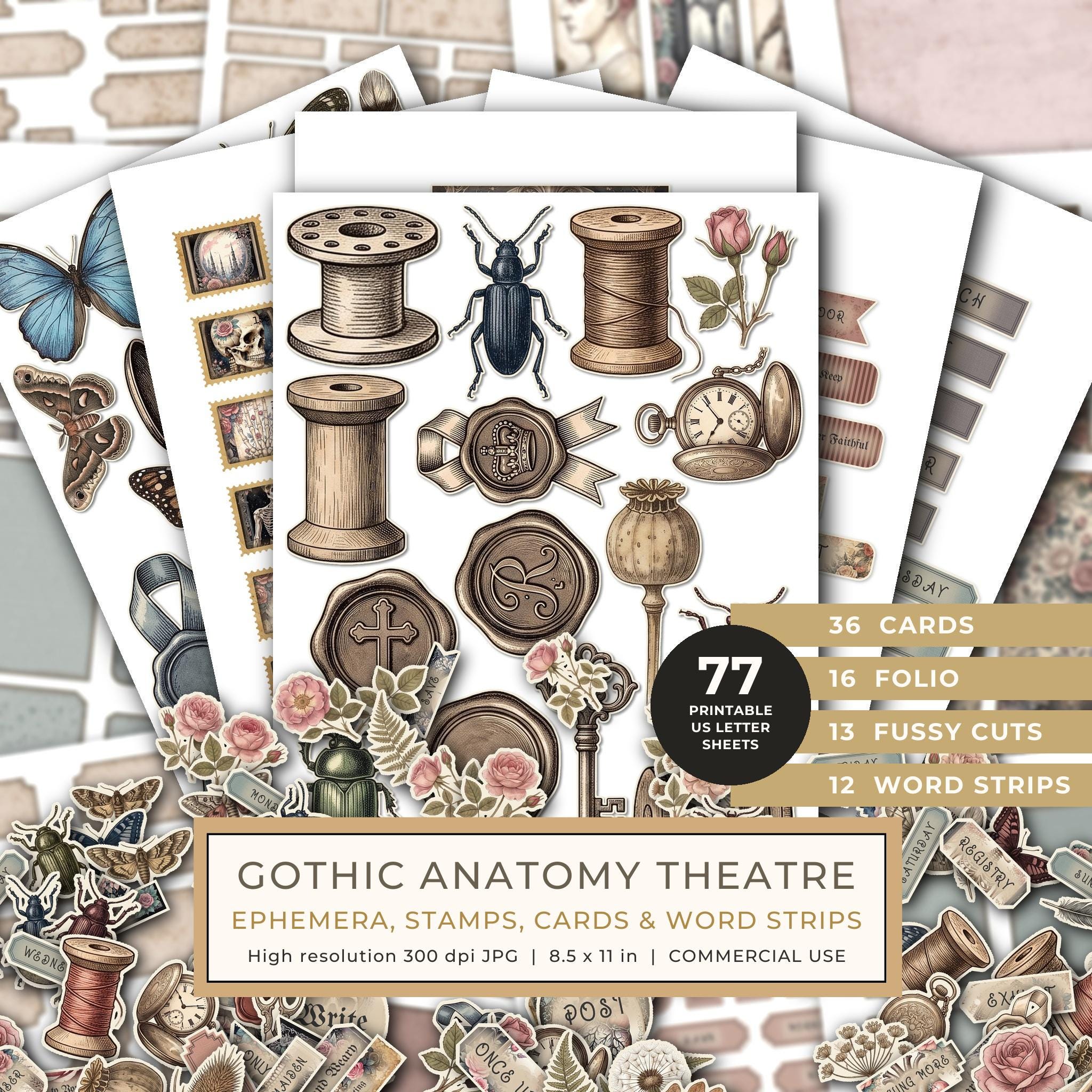 Ephemera Kit: 77 Printable Cards, Tags and Word Strips - GOTHIC ANATOMY THEATRE - Commercial Use