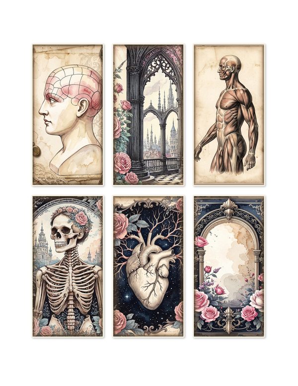 Ephemera Kit: 77 Printable Cards, Tags and Word Strips - GOTHIC ANATOMY THEATRE - Commercial Use — image 1