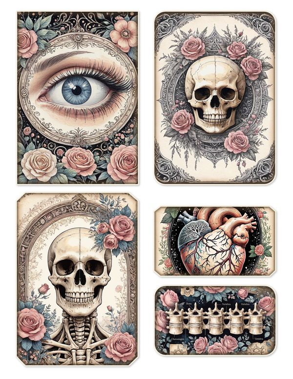 Ephemera Kit: 77 Printable Cards, Tags and Word Strips - GOTHIC ANATOMY THEATRE - Commercial Use — image 8