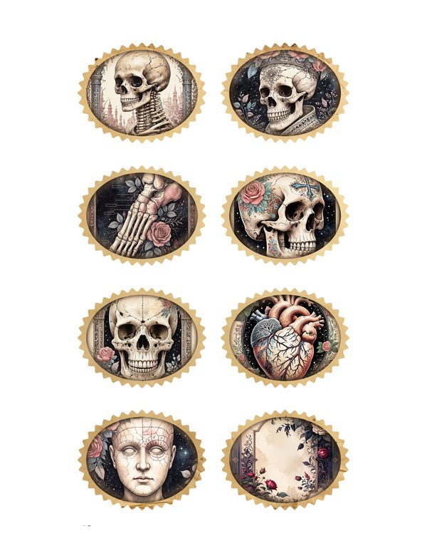 Ephemera Kit: 77 Printable Cards, Tags and Word Strips - GOTHIC ANATOMY THEATRE - Commercial Use — image 33