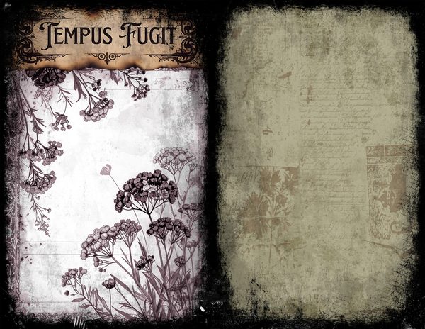 Junk Journal Spreads: 75 Open Book Planner Pages - Memento Mori - Commercial Use — image 55