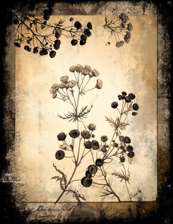Junk Journal Pages: 150 Printable Sheets - Memento Mori - Commercial Use — image 42