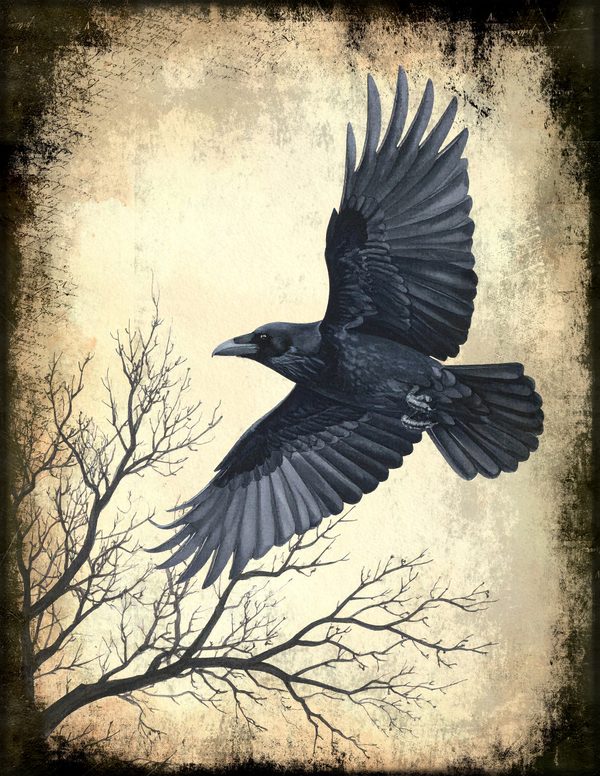 Junk Journal Pages: 150 Printable Sheets - Gothic Bestiary - Commercial Use — image 8
