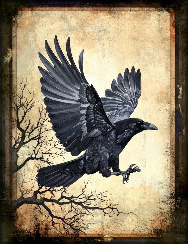 Junk Journal Pages: 150 Printable Sheets - Gothic Bestiary - Commercial Use — image 17