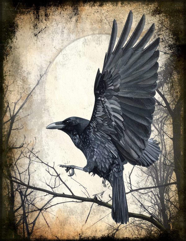 Junk Journal Pages: 150 Printable Sheets - Gothic Bestiary - Commercial Use — image 39