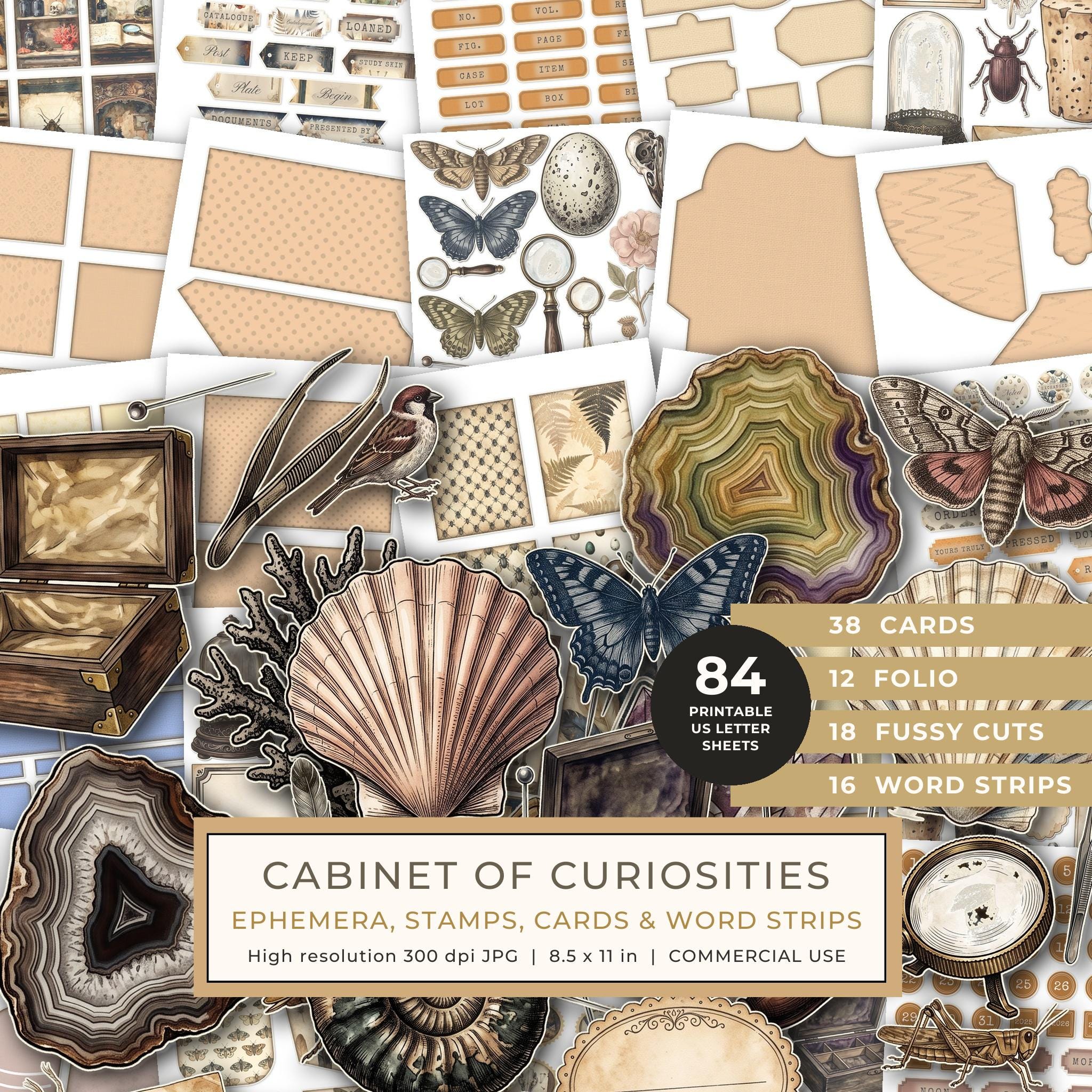 Ephemera Kit: 84 Printable Cards, Tags and Word Strips - Cabinet of Curiosities - Commercial Use