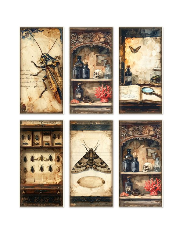 Ephemera Kit: 84 Printable Cards, Tags and Word Strips - Cabinet of Curiosities - Commercial Use — image 1