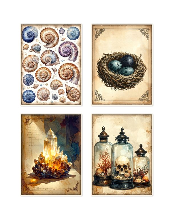 Ephemera Kit: 84 Printable Cards, Tags and Word Strips - Cabinet of Curiosities - Commercial Use — image 3