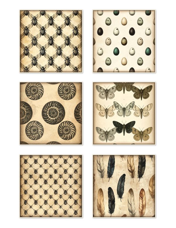 Ephemera Kit: 84 Printable Cards, Tags and Word Strips - Cabinet of Curiosities - Commercial Use — image 11