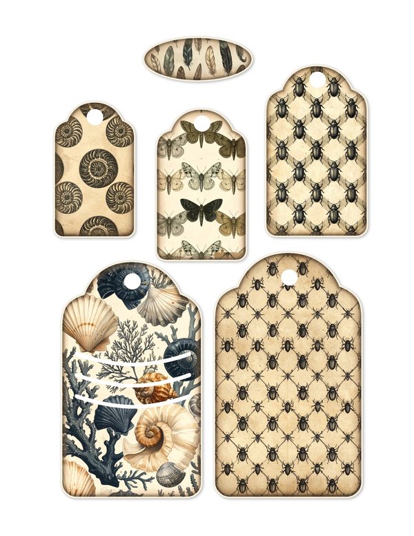 Ephemera Kit: 84 Printable Cards, Tags and Word Strips - Cabinet of Curiosities - Commercial Use — image 18