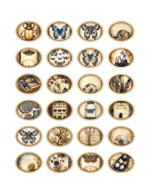 Ephemera Kit: 84 Printable Cards, Tags and Word Strips - Cabinet of Curiosities - Commercial Use — image 28