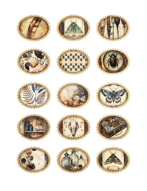 Ephemera Kit: 84 Printable Cards, Tags and Word Strips - Cabinet of Curiosities - Commercial Use — image 29
