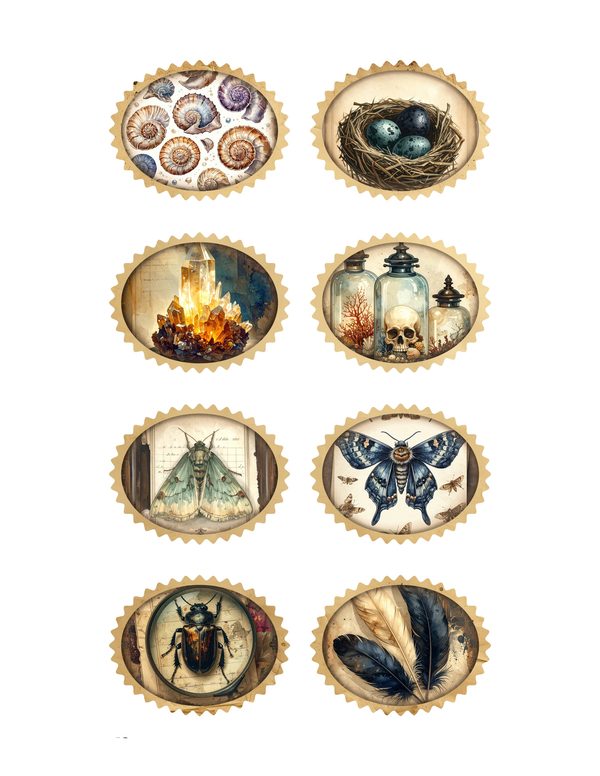 Ephemera Kit: 84 Printable Cards, Tags and Word Strips - Cabinet of Curiosities - Commercial Use — image 30