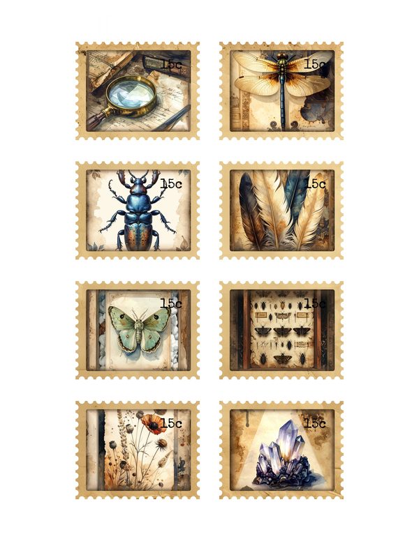 Ephemera Kit: 84 Printable Cards, Tags and Word Strips - Cabinet of Curiosities - Commercial Use — image 32