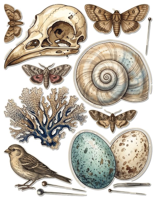Ephemera Kit: 84 Printable Cards, Tags and Word Strips - Cabinet of Curiosities - Commercial Use — image 38