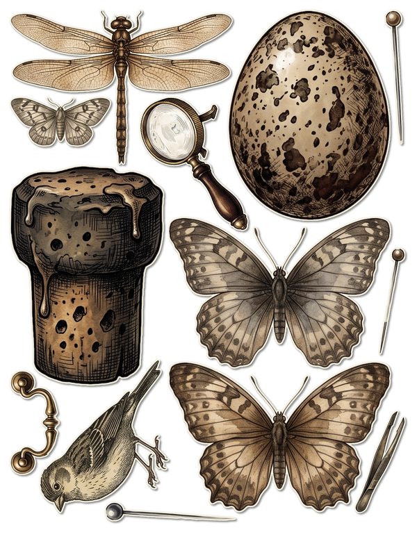 Ephemera Kit: 84 Printable Cards, Tags and Word Strips - Cabinet of Curiosities - Commercial Use — image 39