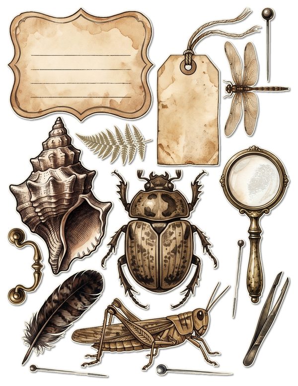 Ephemera Kit: 84 Printable Cards, Tags and Word Strips - Cabinet of Curiosities - Commercial Use — image 40