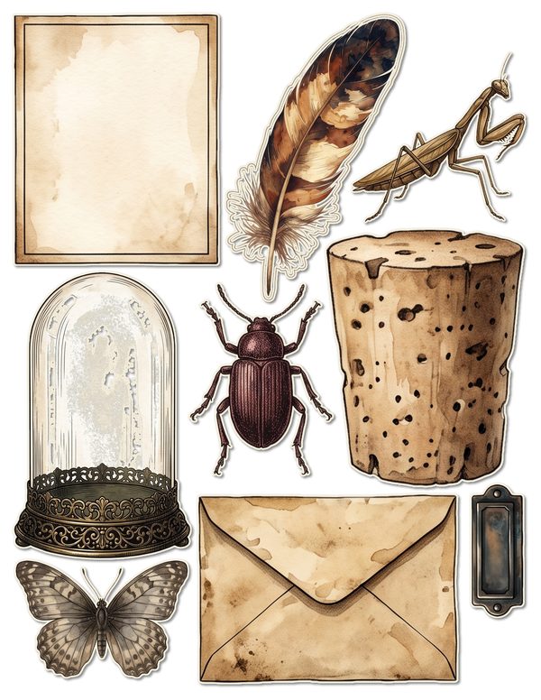 Ephemera Kit: 84 Printable Cards, Tags and Word Strips - Cabinet of Curiosities - Commercial Use — image 42